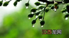 2022年南方梅雨季节是几月几号-南方入梅时间多长