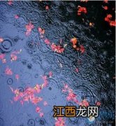 2022上海梅雨天什么时候开始什么时候结束-上海梅雨季节持续多久
