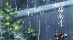 2022年上海梅雨季雨水多不多-上海梅雨季节多少天