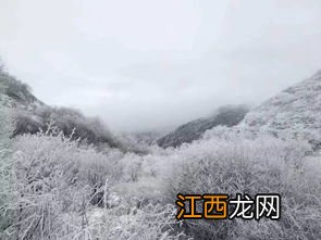 2022年重庆的冬天会下雪吗-重庆冬天哪里有下雪