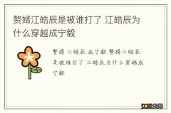 赘婿江皓辰是被谁打了 江皓辰为什么穿越成宁毅