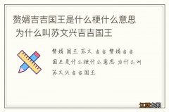 赘婿吉吉国王是什么梗什么意思 为什么叫苏文兴吉吉国王