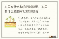 家里有什么植物可以辟邪，家里有什么植物可以辟邪辟毒