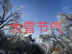 大雪节气晴天来年干旱吗-大雪节气天气晴朗预示什么