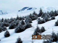 大雪节气晴天好不好-大雪节气晴天预示是暖冬吗