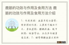 鹿筋的功效与作用及食用方法 鹿筋的功效与作用及食用方法介绍