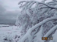 内蒙古雪后什么时候可以通车11月份-内蒙古下雪高速封多久