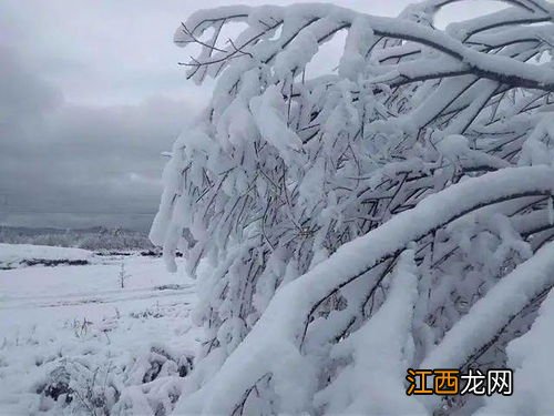 内蒙古雪后什么时候可以通车11月份-内蒙古下雪高速封多久