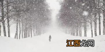 小雪大雪冷还是小寒大寒冷-一年中最冷的时候是什么节气