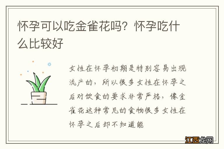 怀孕可以吃金雀花吗？怀孕吃什么比较好