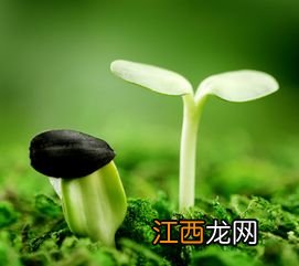 2022每年什么节气天气转暖-今年是不是立春一过就暖和了