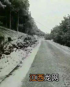 大暴雪天气能不能上高速-下雪了高速路还能走吗