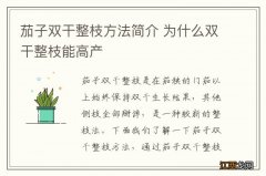 茄子双干整枝方法简介 为什么双干整枝能高产