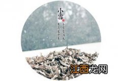 小雪节气是几九2022-小雪是数九吗