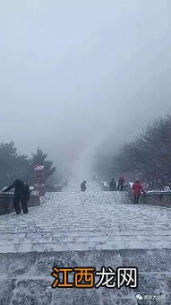 立冬下雪有什么预兆-立冬下雪有什么说法