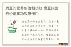 扁豆的营养价值和功效 扁豆的营养价值和功效与作用