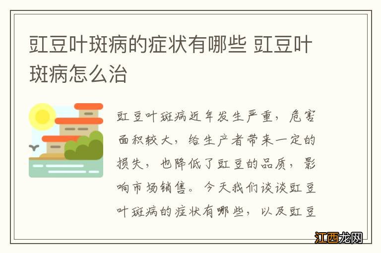 豇豆叶斑病的症状有哪些 豇豆叶斑病怎么治