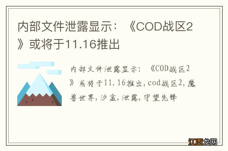 内部文件泄露显示：《COD战区2》或将于11.16推出