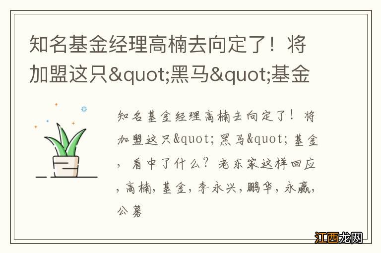 知名基金经理高楠去向定了！将加盟这只&quot;黑马&quot;基金，看中了什么？老东家这样回应