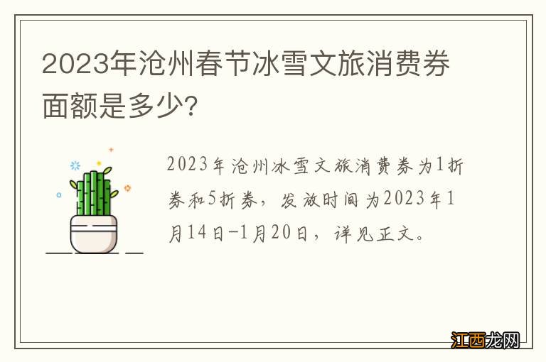 2023年沧州春节冰雪文旅消费券面额是多少?