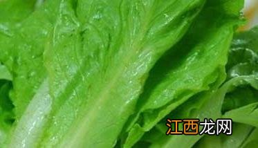 生菜的功效与作用 生菜的营养价值有哪些