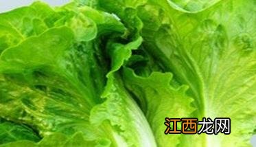 生菜的功效与作用 生菜的营养价值有哪些