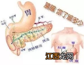 得了胰腺炎后要一辈子忌口吗-急性胰腺炎终身戒酒吗