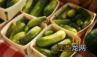 种植黄瓜有哪些技术条件和要求 种植黄瓜有哪些技术条件