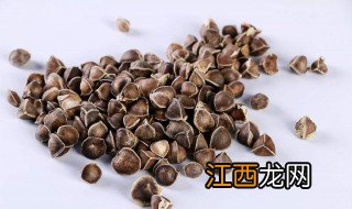 辣木籽怎么吃法 辣木籽的食用方法