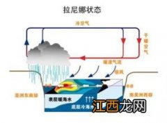 2021年即将出现双拉尼娜现象吗-2021年是厄尔尼诺现象还是拉尼娜现象