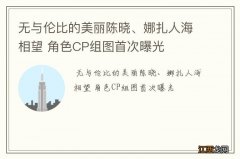 无与伦比的美丽陈晓、娜扎人海相望 角色CP组图首次曝光