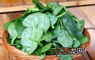 木耳菜生长需要什么条件-自己种木耳菜哪些是要注意的