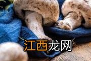 平菇在冰箱里长了白毛还能吃吗 平菇怎么算坏了