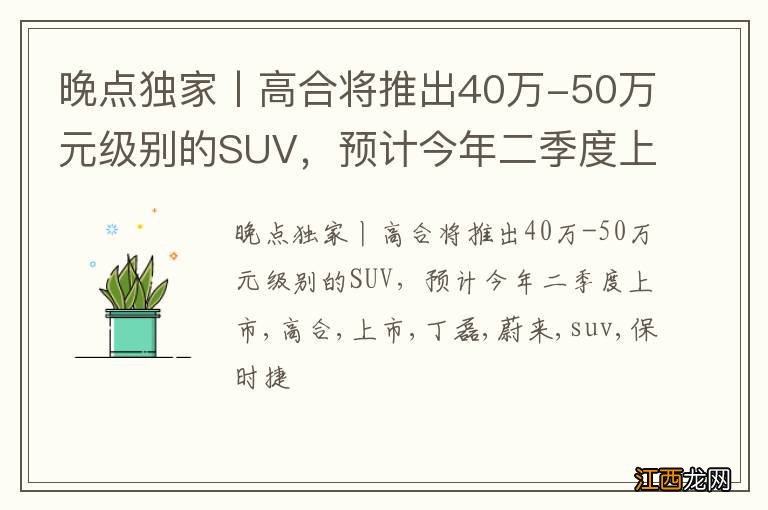 晚点独家丨高合将推出40万-50万元级别的SUV，预计今年二季度上市