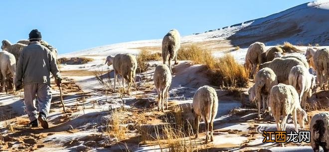 异常天气再现，罕见世界奇观，雪落撒哈拉沙漠