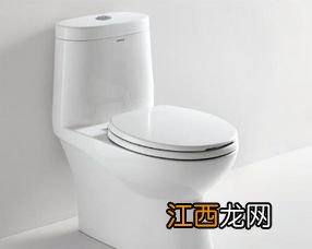 双孔马桶另一个孔容易漏水吗-马桶底部是双孔好还是单孔好