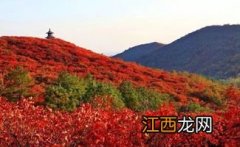 今年香山红叶什么时候看2021-北京香山公园看红叶从哪个门进