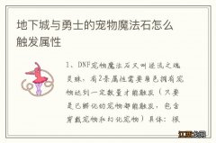 地下城与勇士的宠物魔法石怎么触发属性