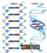 核酸检测七天后就过期了吗-核酸检测七天后还有效吗