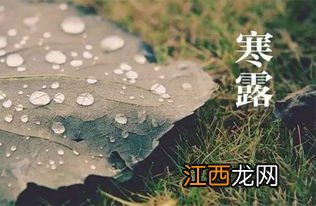 2021寒露之后还热不热了-寒露过后是冬天了吗