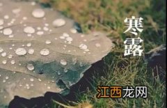 寒露的时候北方树木落叶了吗-寒露的时候北方天气怎么样