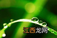 2021寒露还能穿短袖吗-寒露期间需注意的事有哪些