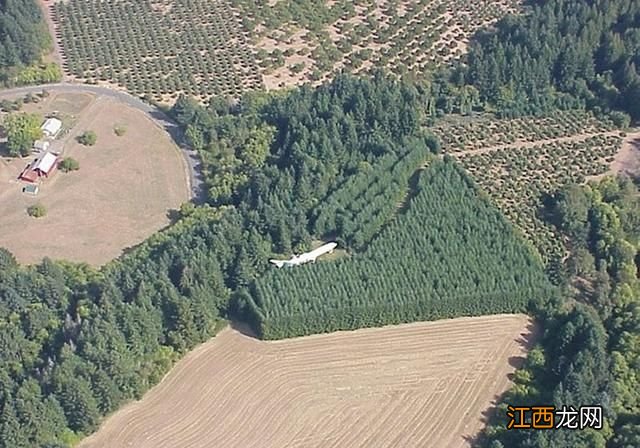 世上最奢华的豪宅，大爷用飞机做住宅，旅行家：见过最酷的地方