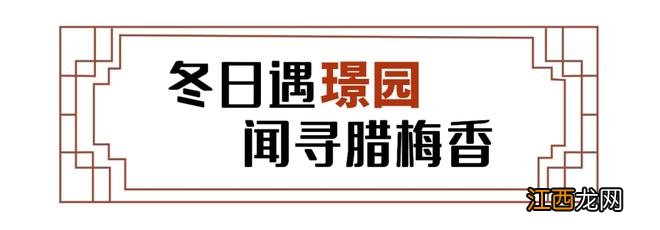 2022年的第一场花事,走,赏梅去!