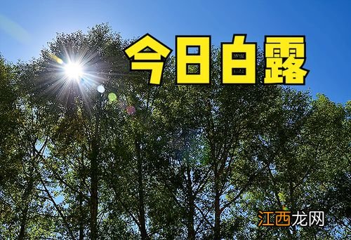 2021白露当天下雨好还是晴天好-白露当天下雨有什么说法吗