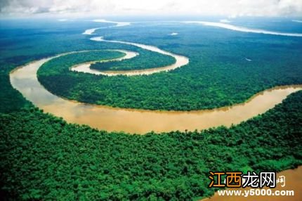 亚马逊雨林的未来：受到人类和气候变暖的双重压迫