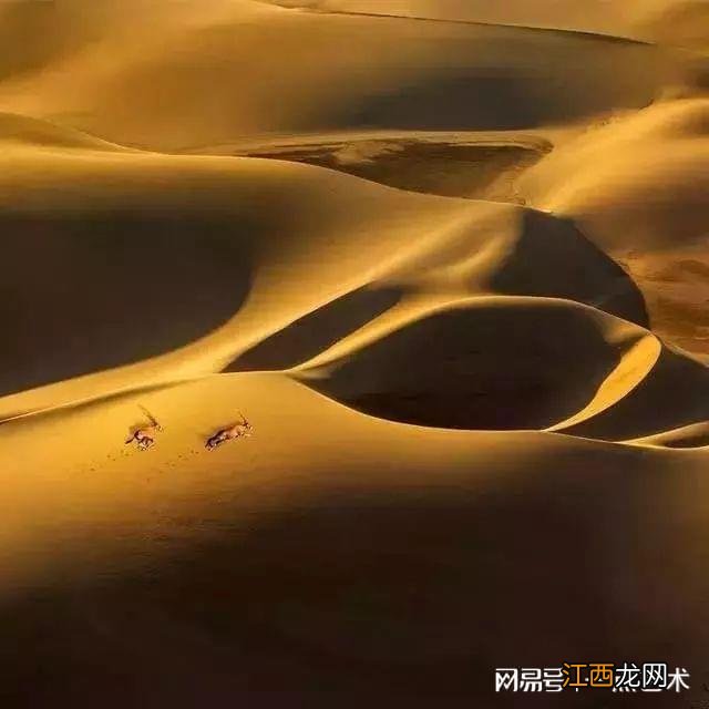 看看人家的构图,这才叫真正的摄影艺术!