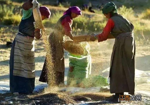 看看人家的构图,这才叫真正的摄影艺术!