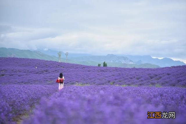 10个旅行目的地，选一个出发吧