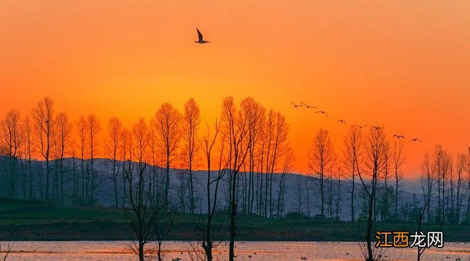 云南冬季最美的地方,每一处都让你流连忘返!